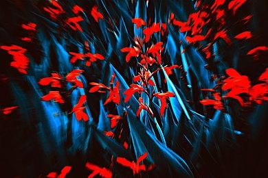 《消逝的光芒2》秋冬季更新计划发布 免费提供