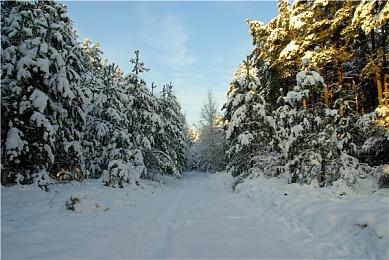 2D格斗游戏《Two Strikes》将于4月25日退出抢先体验 正式版多平台上线